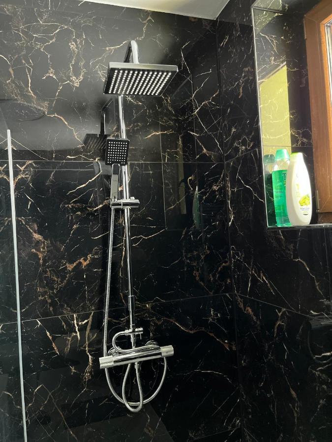 Apartment Golden Prague 78 Vestec  エクステリア 写真