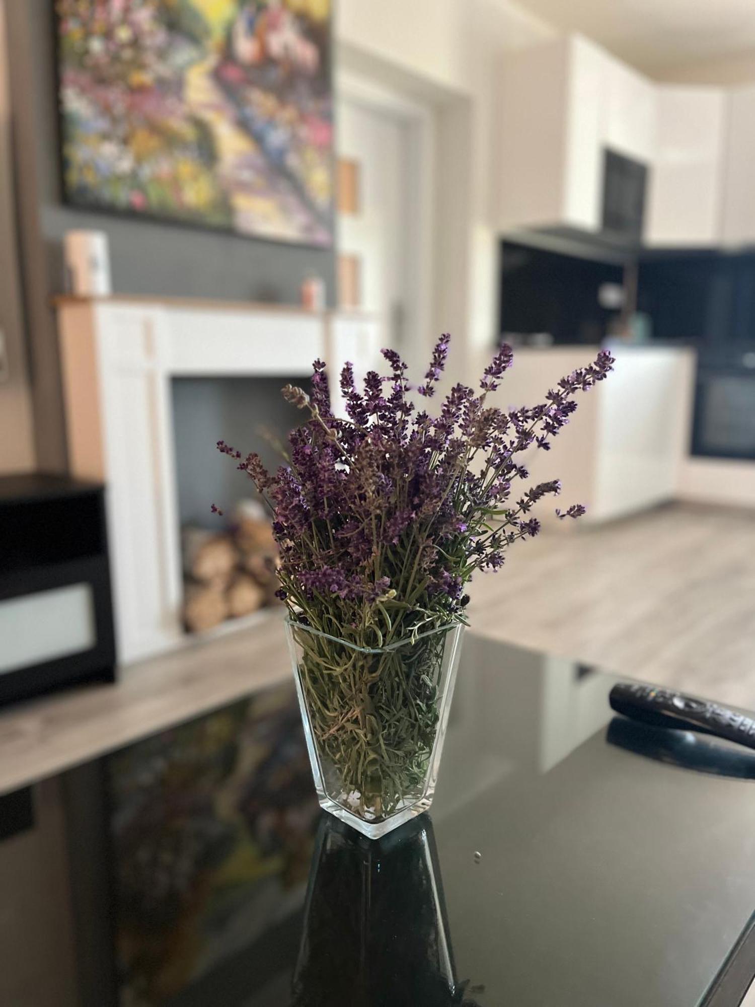 Apartment Golden Prague 78 Vestec  エクステリア 写真